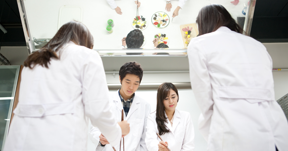 식품영양학전공 대표이미지